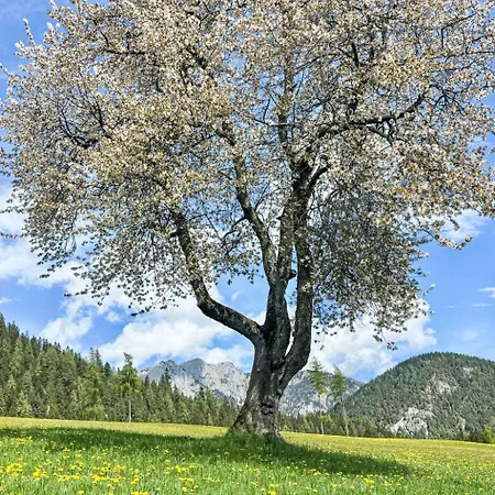 Appartement Christoph By Interhome