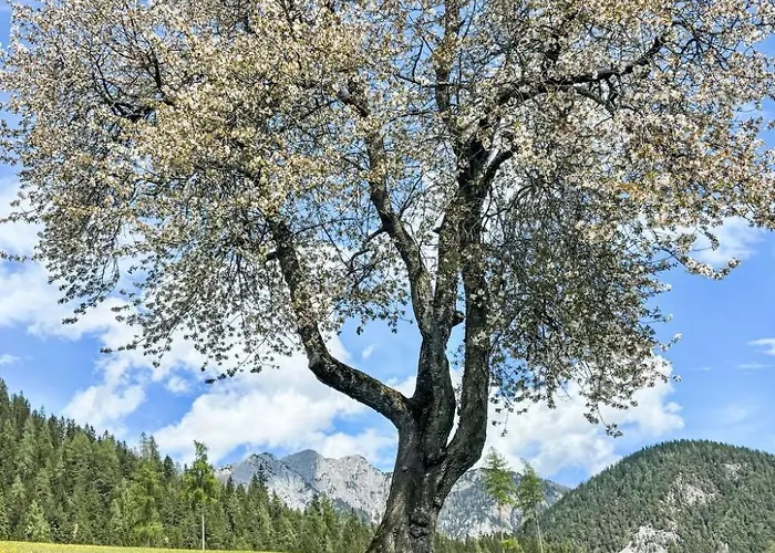 شقة Christoph By Interhome